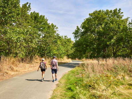 Sentier Aprilis