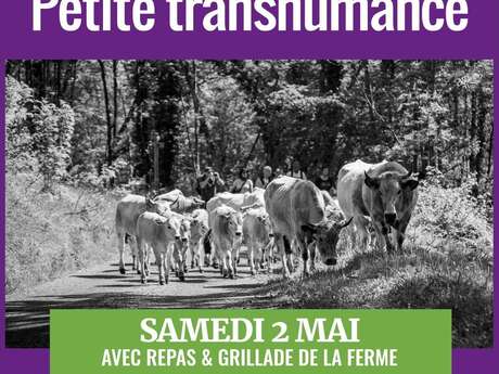 Petite transhumance avec La Maison Lacube