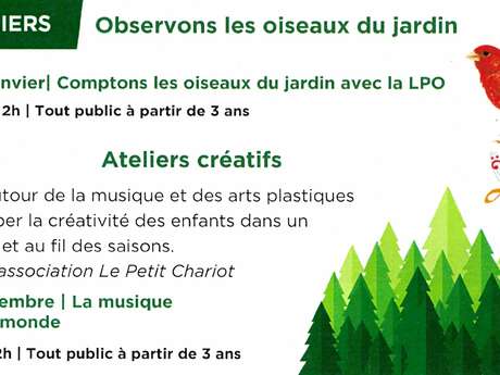 Workshops in der Mediathek