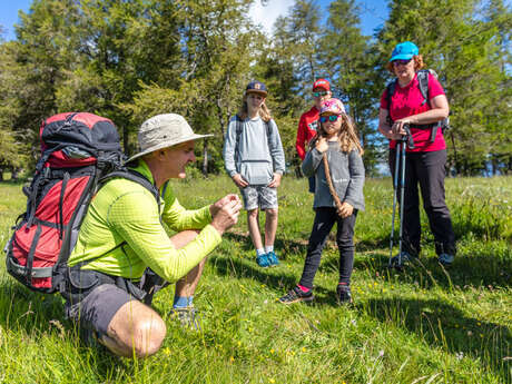 Hike with mountain guides