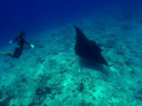 Blue Caledonia Freediving School