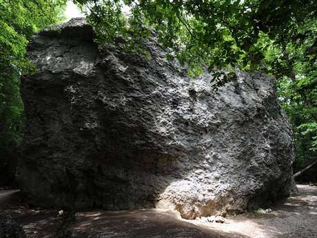 Site d'escalade de la Pierre Chambertin