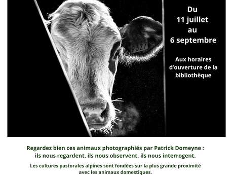 Exposition - Regardez bien ces animaux - Patrick Domeyne
