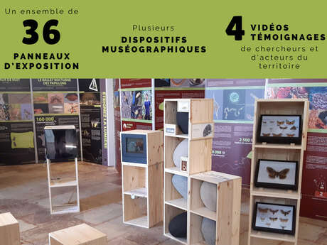 Exposition Estivale "Coup de Projecteur sur la Biodiversité (In)visible"