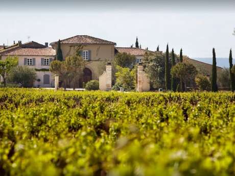 Château de Beaucastel - Famille Perrin