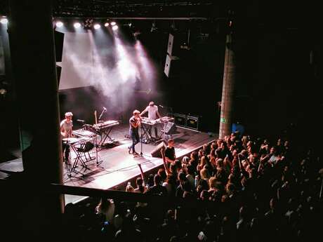 Concert live - Goldy Flower