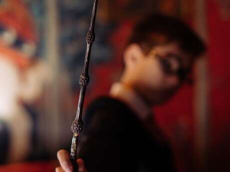 Pichoun'ventures d'hiver : Bastle deinen eigenen Zauberstab