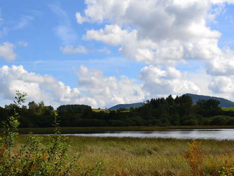 Balade hivernale à l’Etang grand