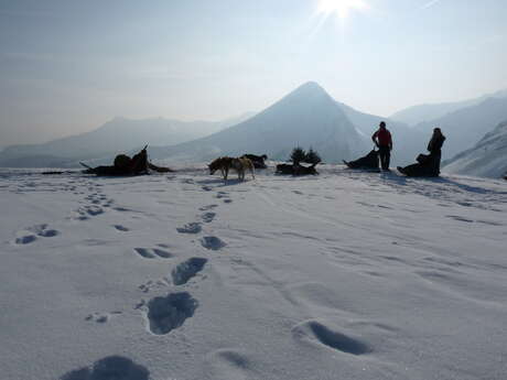 Dog sledding duo experience in Sommand