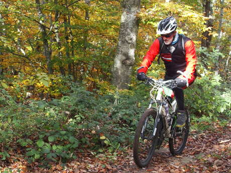 La vallée du Vizézy - Circuit VTT en Forez