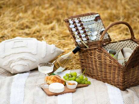 Pique-nique géant et vélo smoothie
