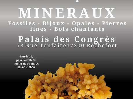 Salon vente minéraux, fossiles, opales, bijoux