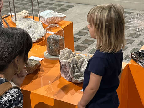 Atelier participatif : Géométrie minérale : modélisation en 3D