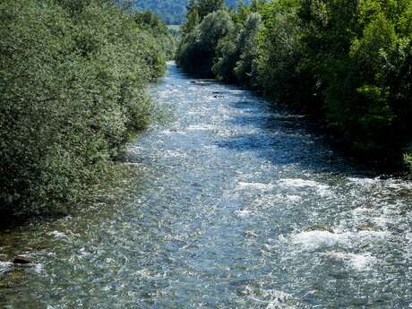 Conférence "Le Borne, vie de la rivière à travers les archives"