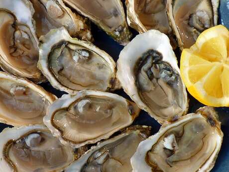 Soirée huîtres