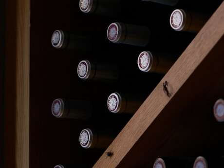 Baudo, Île de Ré - Wine Cellar and Tasting