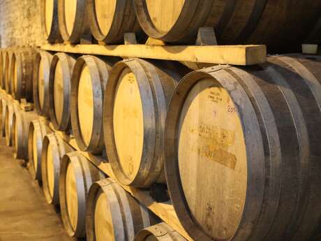 Visite de la cave - Rhonéa Cave de Rasteau