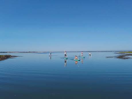 Randonnée en stand-up paddle dans les espaces naturels par Sup Évasion à Loix