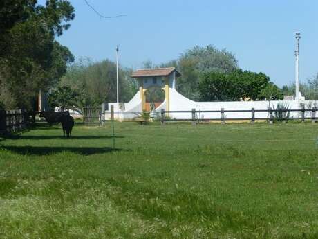 El Rocio 3