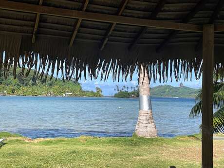 HAVAI SPOT