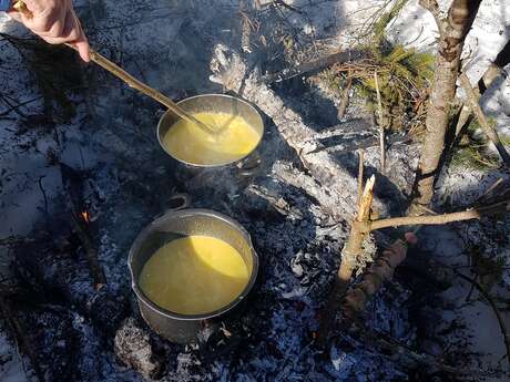 Randonnée raquettes sur le Plateau de retord avec Sylvain Poncet