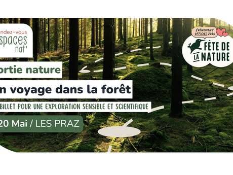 Nature outing - A journey through the forest