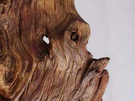 Exposition Tiboutdebois