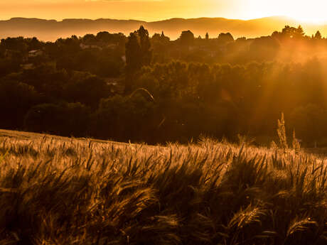 Circuit "Le Chemin du Curé d'Ars"