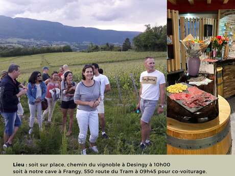 Animation oenotouristique