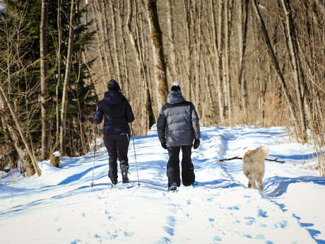 Schneeschuh-Wandern an den Ufern der Arve