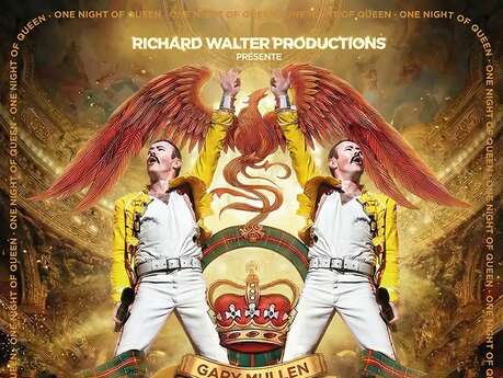 Concert : One night of Queen