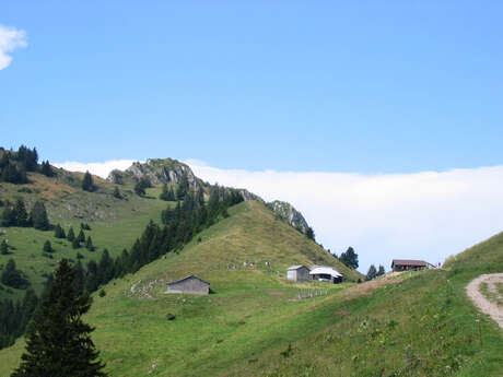 Randonnée "Les Chalets de Pertuis"