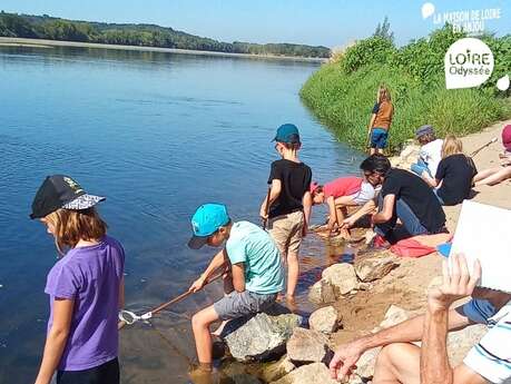 Fishing for small animals with Loire Odyssée