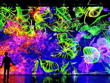 Exposition : Digital Floralia de Miguel Chevalier