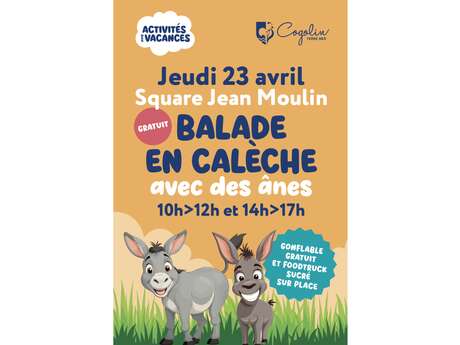 Horse-drawn carriage rides