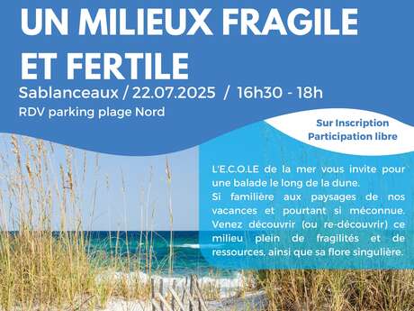 La Dune, un milieu fragile et fertile