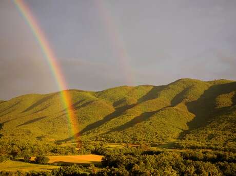 École Franci Discendum