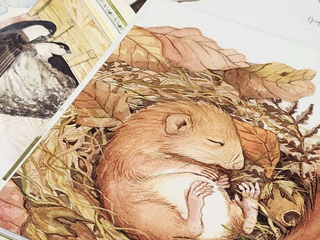 "La Bébé-Bib" : les toutes petites lectures