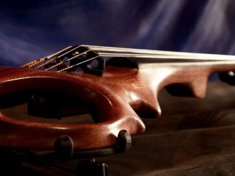 ETJ violin design - TDA