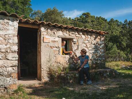 Le Bocage du Champsaur (P02)