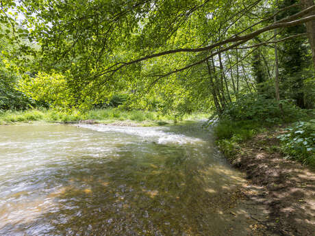 The river of pebbles