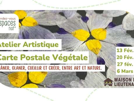 Atelier artistique : Carte postale végétale
