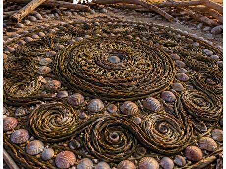 Richesses de la mer : Land Art