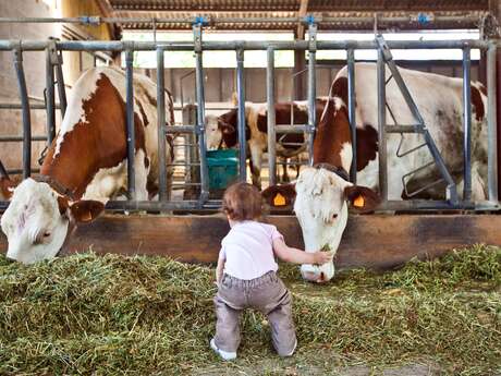 De ferme en ferme dans le Forez