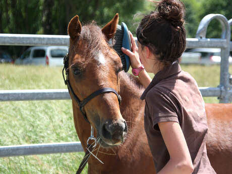 Centre équestre La Cavale des prés