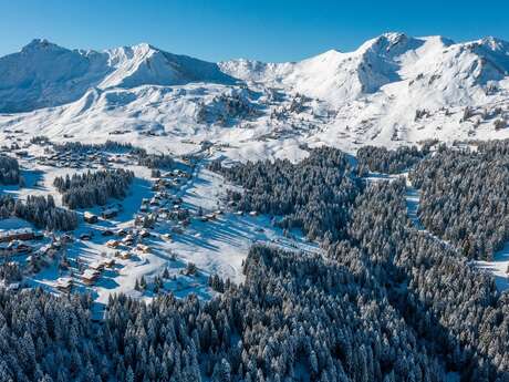 Les 3 Lys - 25 m² - n°442