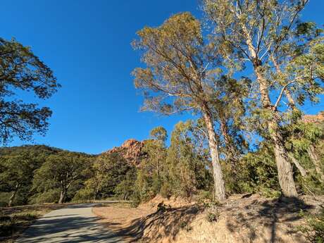 Randonnée : De Belle Barbe au Pont du Perthus