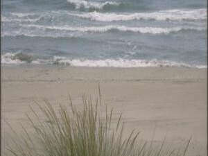 Plage La Brise de Mer