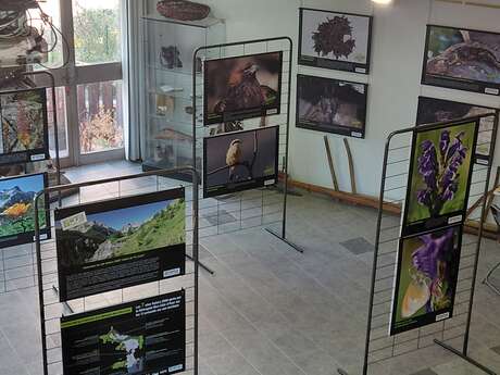Fotoausstellung „ô lumières“