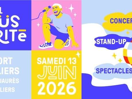 Festival Emmaüs Solidarité #4